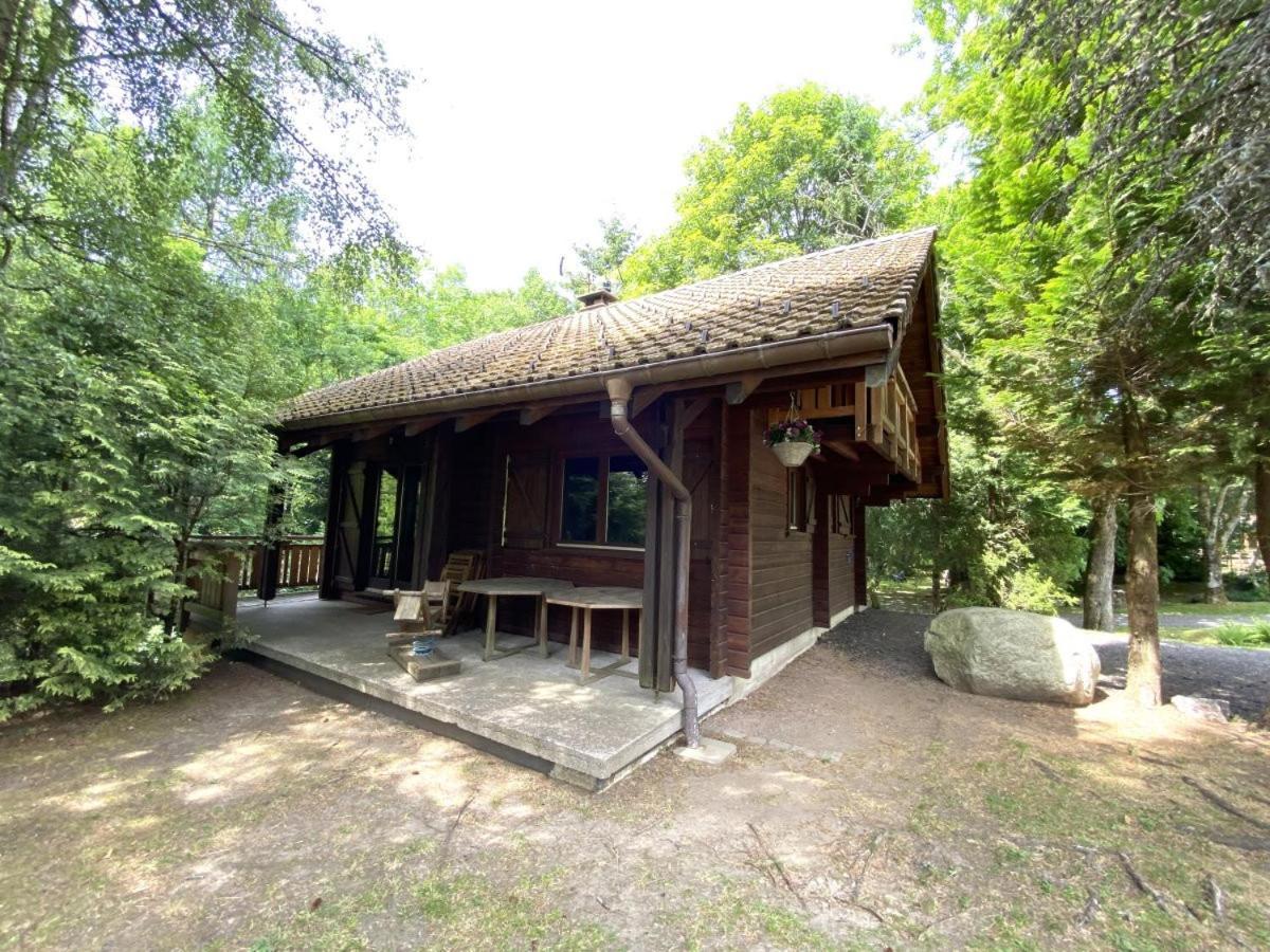 Le Renard Chalet En Bois La Bresse Eksteriør bilde