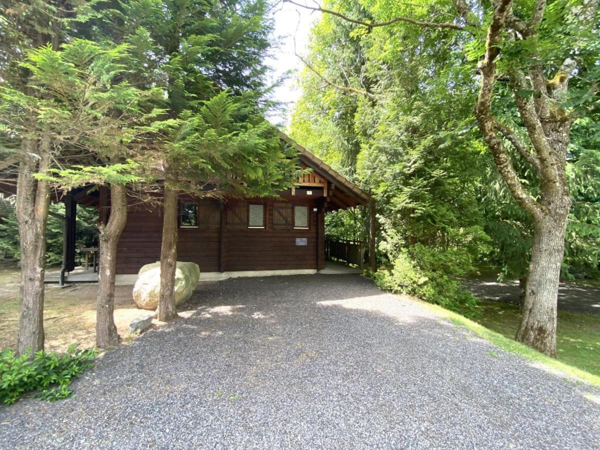 Le Renard Chalet En Bois La Bresse Eksteriør bilde